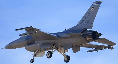 F-16C Block 42E 89-2004 309th Fighter Squadron Wild Ducks